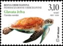 Loggerhead Turtle (Caretta caretta)