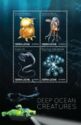 Deep Sea Animals