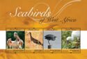 Seabirds of West Africa