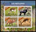 Antelopes