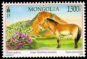 Przewalski's Horse (Equus przewalskii) & Mt Zorgol Khairkhan