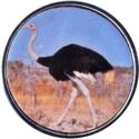 10 CFA Francs (Ostrich)