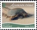 Green Turtle (2019 Imprint)