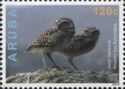 Joost Horward: Burrowing Owls (Athene cunicularia)