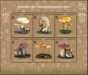 Kazakh Mushrooms (2019)