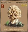 Morchella steppicola