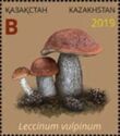 Leccinum vulpinum