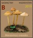 Marasmius oreades