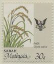 Agricultural Products- Oryza sativa