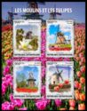 Windmills and Tulips
