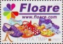 Floare Shoes