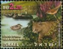 Water Buffalos, Marbled Duck, Reed Warbler, Wildcat