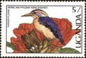 African Pygmy-kingfisher, African Tulip Tree