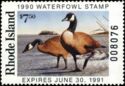 Canada goose (Branta canadensis)