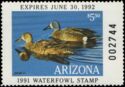Blue-winged teal (Anas discors)