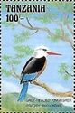 Grey-headed kingfisher (Halcyon leucocephala)