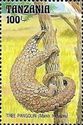 Tree Pangolin (Manis tricuspis)