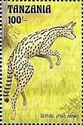 Serval (Felis serval)