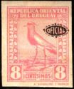 Southern Lapwing (Vanellus chilensis) - Overprinted