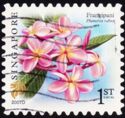 Frangipani (Plumeria rubra) 2007D Imprint