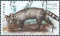 Large Indian Civet (Viverra zibetha) Imprint 2007C