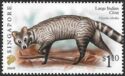 Large Indian Civet (Viverra zibetha) Imprint 2007E