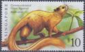 Cream-coloured Giant Squirrel (Ratufa affinis) Imprint 2007C