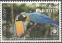 Blue-and-yellow Macaw (Ara ararauna)