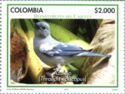 Blue-Gray Tanager (Thraupis episcopus)