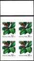 American Holly - Pane
