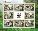 WWF - Cercophitecus campbelli