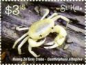 Huang Ze gray crab (Geothelphusa albogilva)