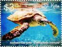 Hawksbill sea turtle (Eretmochelys imbricata)