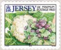 Cauliflower and Purple-sprouting Broccoli (2001)