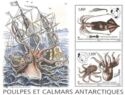 Antarctic Squid and Octopus