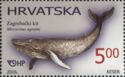 Fossil Croatian Whale (Mesocetus agrami)