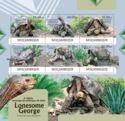 Endangered Abingdon Giant Tortoise
