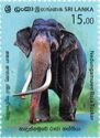 Nadungamuwa Raja, Tusker Elephant