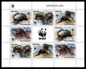 WWF Otter (Aonyx capensis)