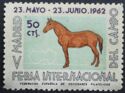 Feria del campo - Horse