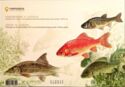 Freshwater Fishes (booklet)