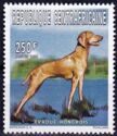Hungarian Hound (Canis lupus familiaris)