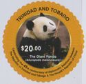 Giant Panda