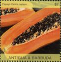 Papaya (Carica papaya)