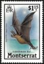 Fisherman Bat (Noctilio leporinus)