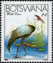 Wattled Crane (Bugeranus carunculatus)