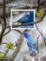 Indigo Bunting