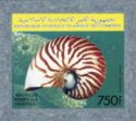 Chambered Nautilus (Nautilus pompilius)