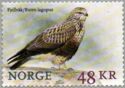 Rough-legged Hawk (Buteo lagopus)