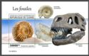 Fossils